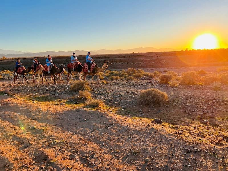 Berber Experience Camp - Image 1
