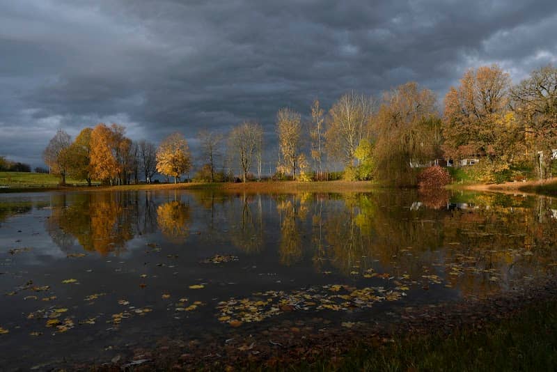 Reichling Weiher - Image 1