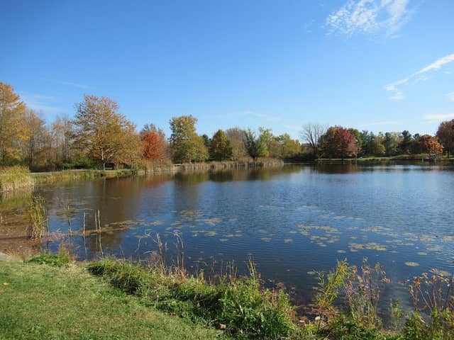 North Park - Image 2