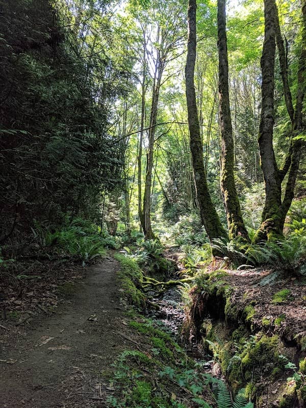 Rutherford Park - Image 2