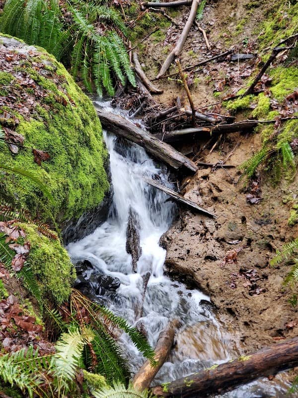 Rutherford Park - Image 3