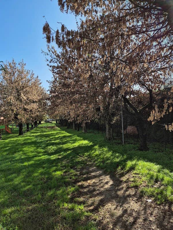 Parco pubblico con giochi per bambini - Image 1