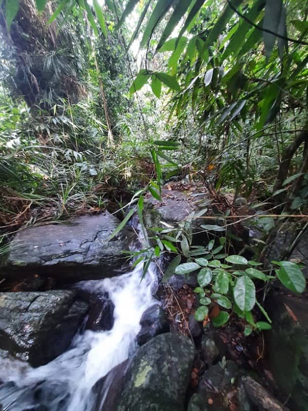 Wangedi wala - Image 1