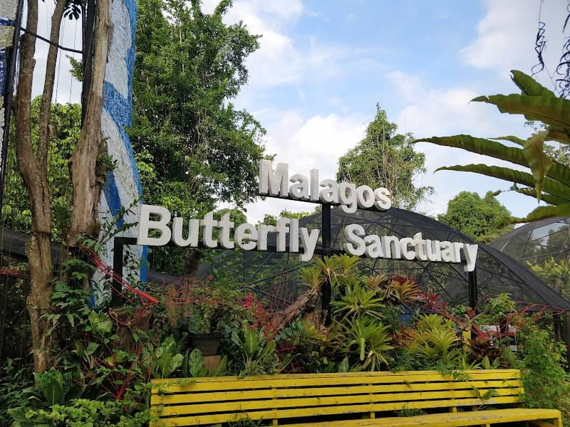 Malagos Garden Resort - Image 3