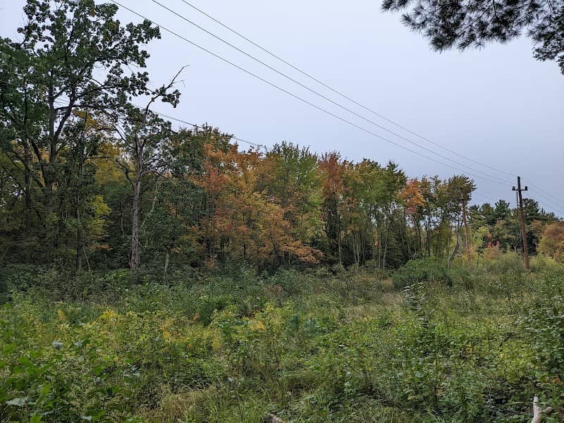 West Meadow Conservation Land - Image 2