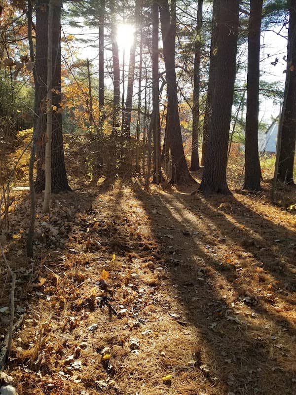 West Meadow Conservation Land - Image 1