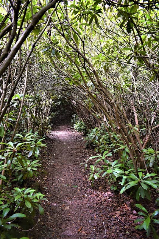 Rhododendron State Park - Image 1