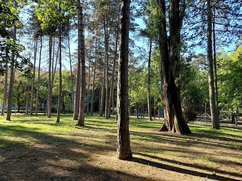 Nagyerdei csobogó - Image 3