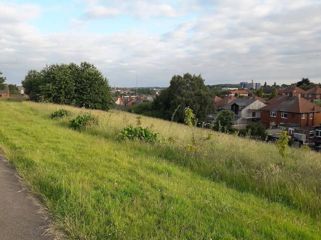 Fisher Lane Park - Image 1