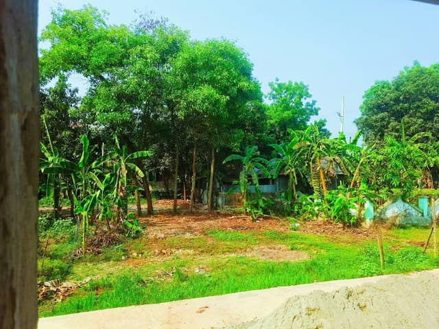 গোয়াল মথন - Image 1
