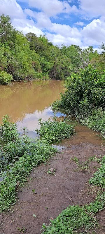 Mirador del puente - Image 1
