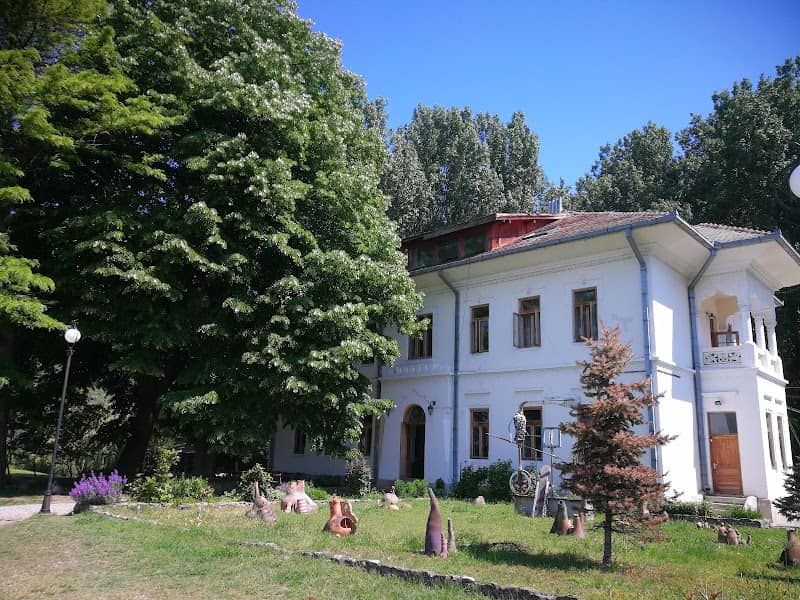Port Cultural Cetate - Image 1