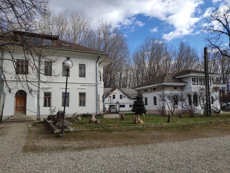 Port Cultural Cetate - Image 2