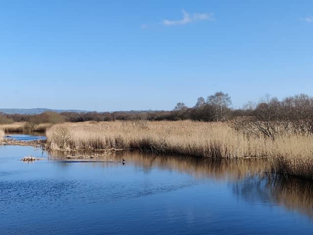 Westhay Moor National Nature Reserve - Image 2