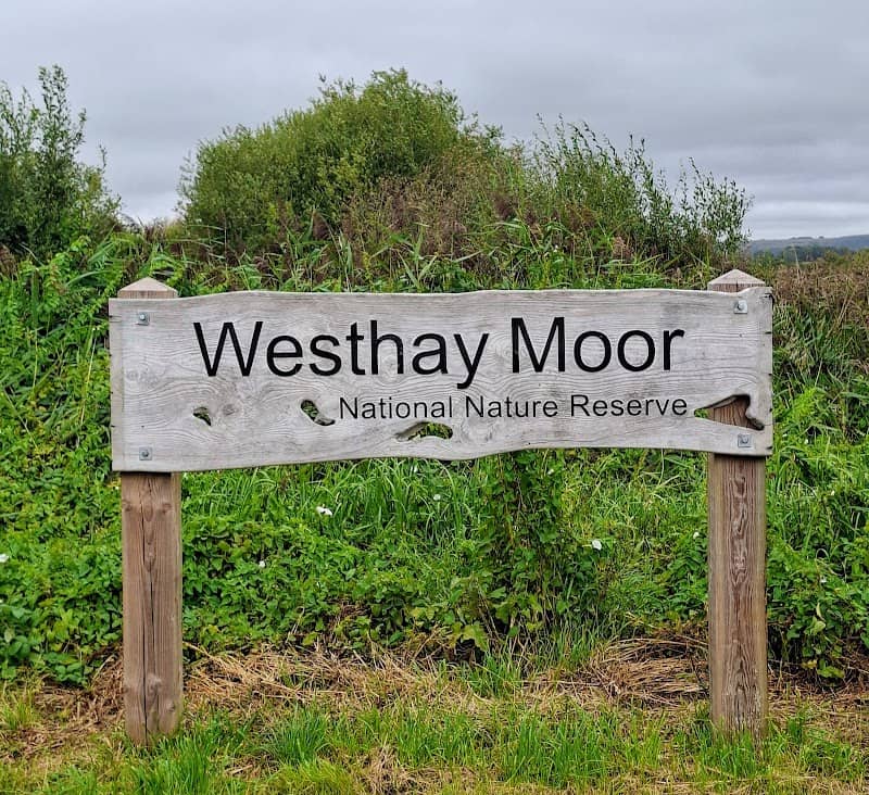Westhay Moor National Nature Reserve - Image 1