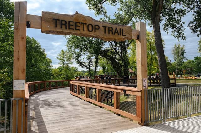Treetop Trail at Mississippi Gateway Regional Park - Image 2