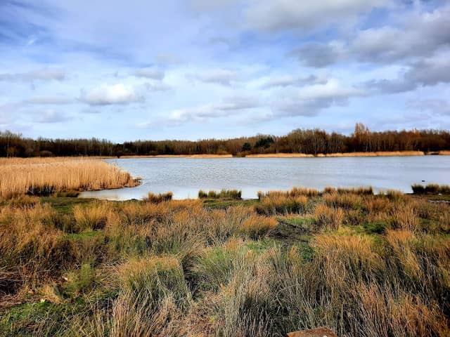 Amberswood - Image 2