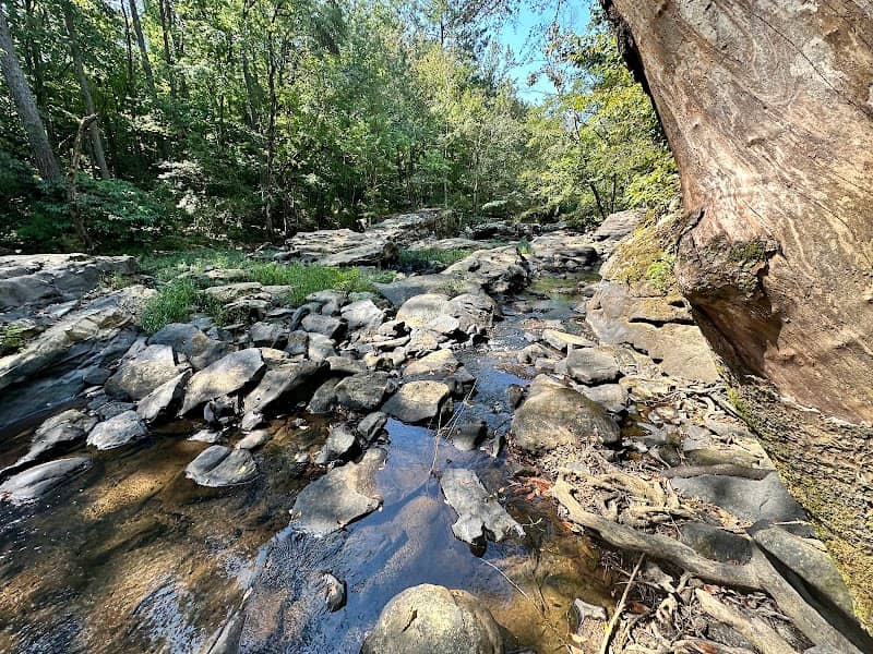 Noccalula Falls Suspension Bridge - Image 1