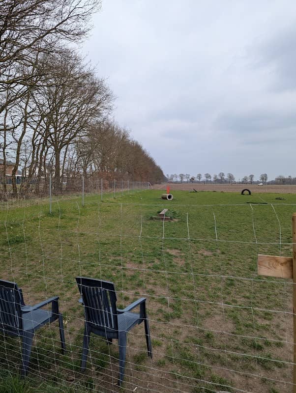 Hundefreilaufwiese - Image 1