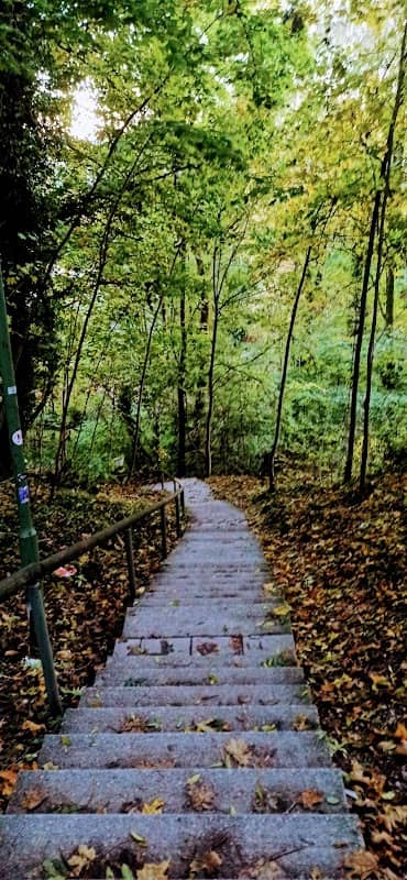 Park Mühldorf - Image 1