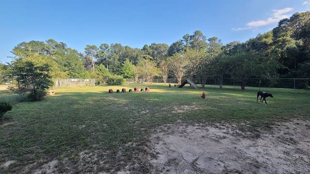 Dog Park Dale. - Image 2