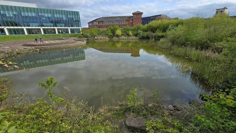 Wilkinson Lake - Image 1