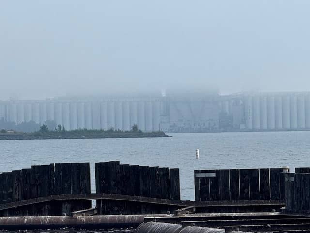 Observation binoculars - Image 2