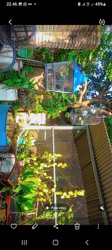 Dirgantarafarm - Image 1