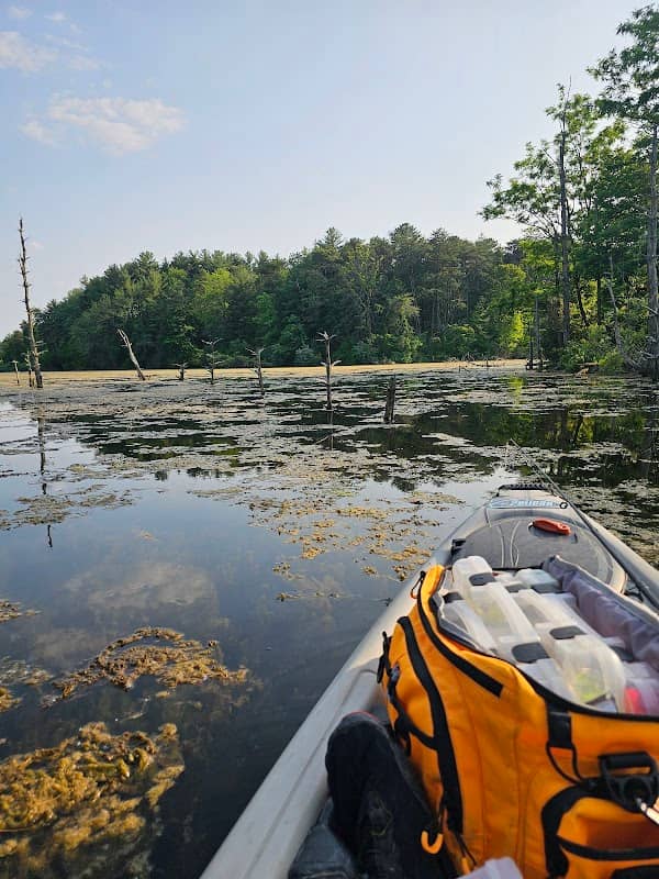 Thousand Island Lake, Goose Pond Fish and Wildlife Area - Image 1