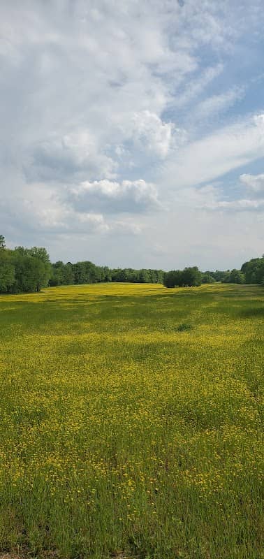 Sharp Springs Park - Image 2