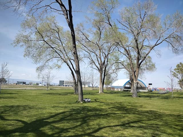 City of George Park - Image 2