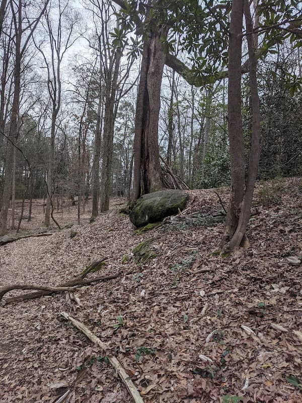Watkinsville Woods - Image 1