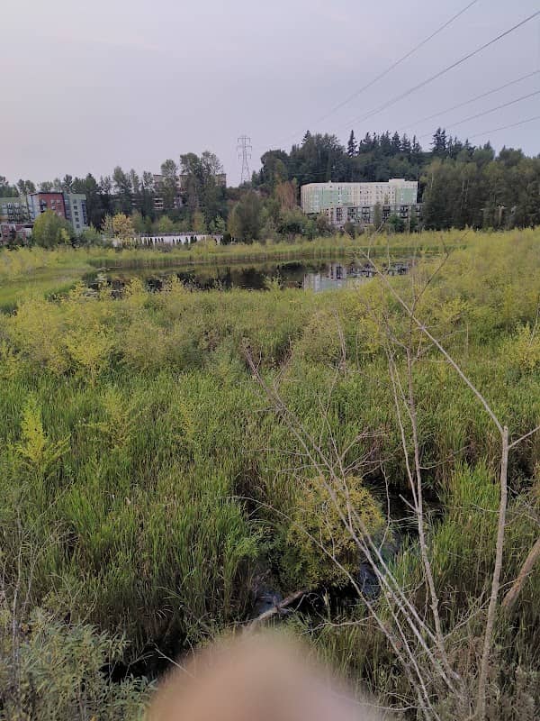Totem Lake connector View Point - Image 1