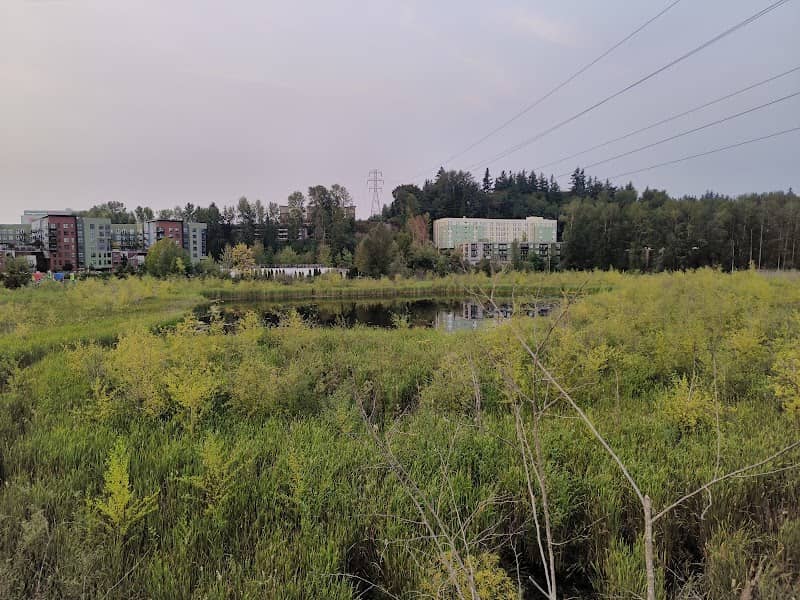 Totem Lake connector View Point - Image 3