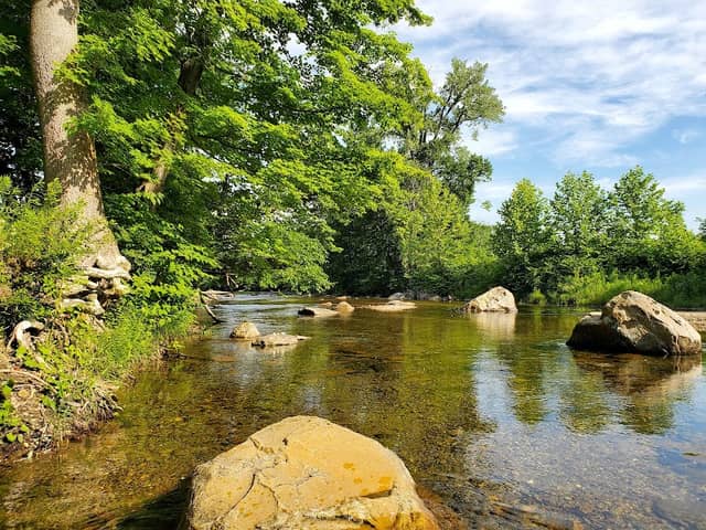Sycamore Park - Image 1