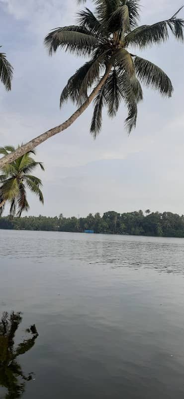 Riverside View - Image 1