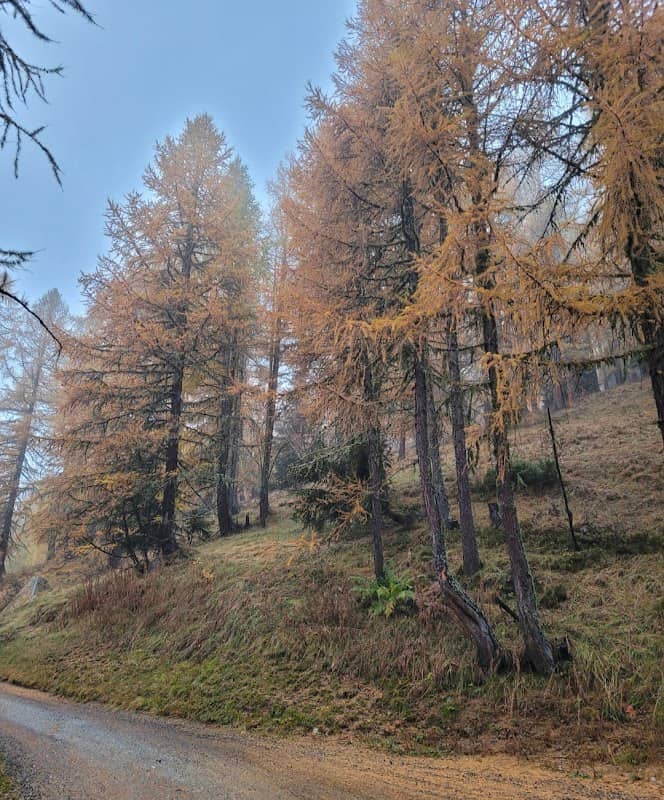 Ausblick Bellwald - Image 1