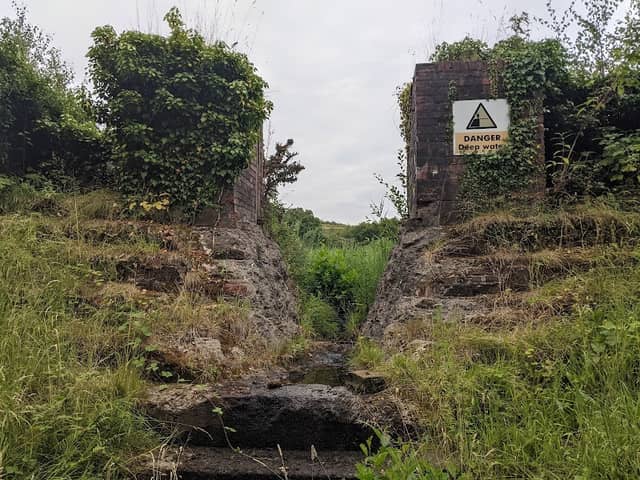 Crymlyn Pond - Image 2
