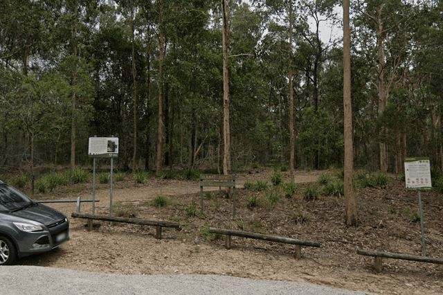 Wallaby Creek Bushland Refuge - Image 2