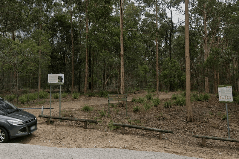 Wallaby Creek Bushland Refuge - Image 2