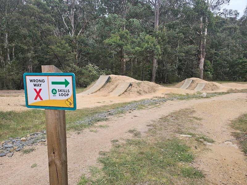 Mount Taylor Mountain Bike Park - Image 1