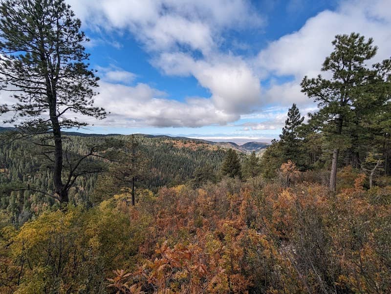 Lincoln National Forest - Image 3