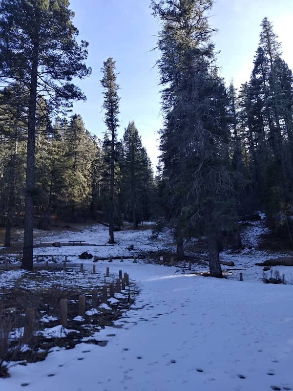 Lincoln National Forest - Image 2