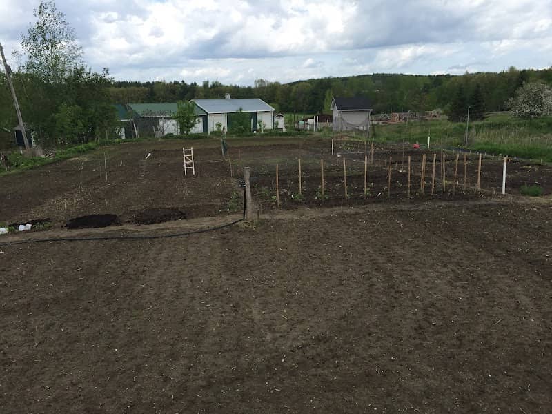 Meadow Terrace Community Garden - Image 1