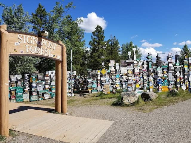 Sign Post Forest - Image 2