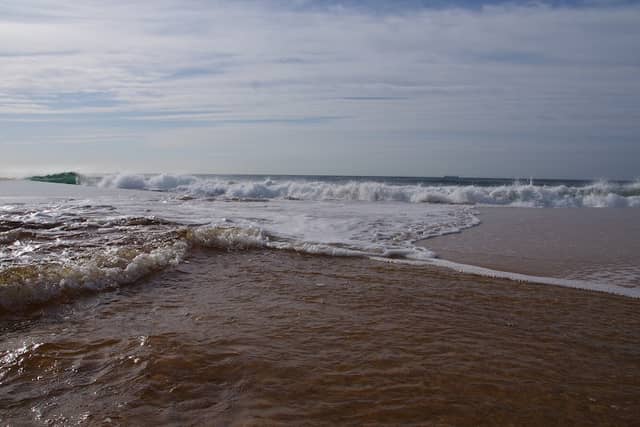 Redhead Beach Lagoon (First Creek) - Image 1