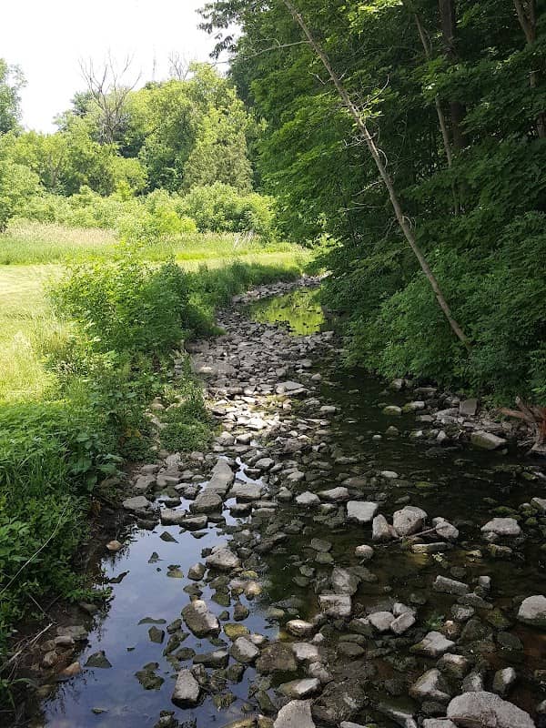 Powell Park - Image 2