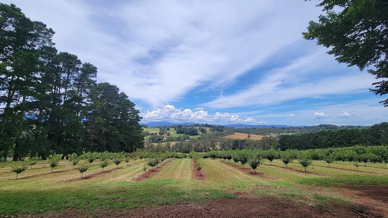 Payne's Rise Wines - Image 2