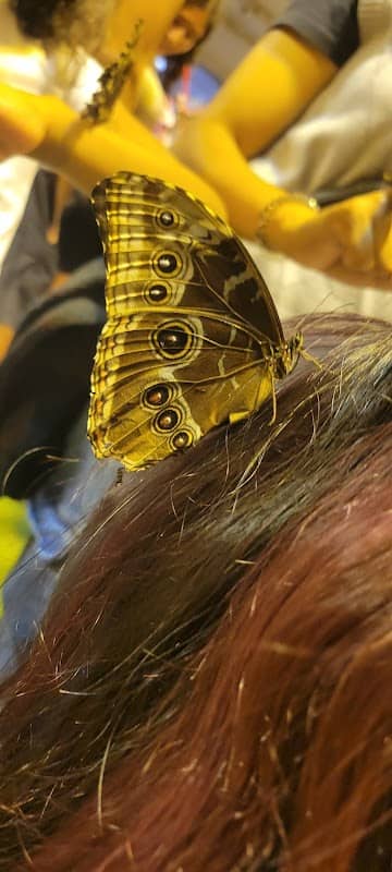 Butterfly House - Image 1