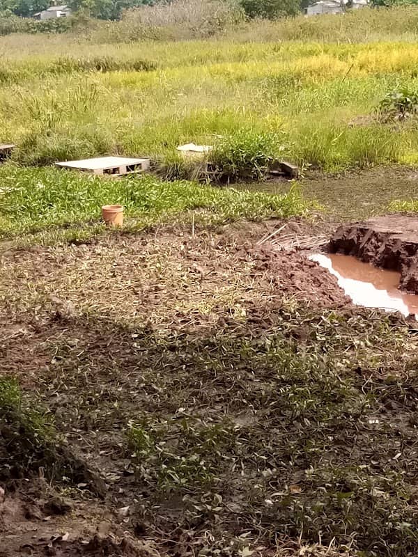 Bird Sanctuary - Image 2